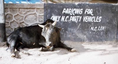Parking For Only NC Party Vehicles (Leh)