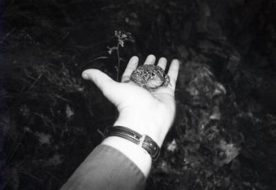 Toad in hand.  Worth two in bush! Indiana (1990)
