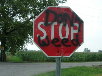 Don't Stop Weed (Near Franklin, IN)
