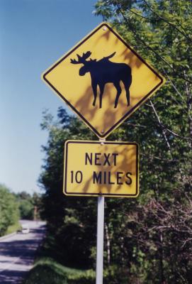 v3/89/475089/3/51672970.MooseNext10MilesLondonderryVT.jpg
