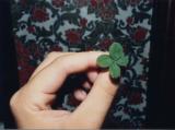 Four leaf clover, Shelbyville, Indiana (1988)