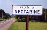 Nectarine, Pennsylvania