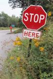 Stop Here (Somewhere near Goshen, NY)