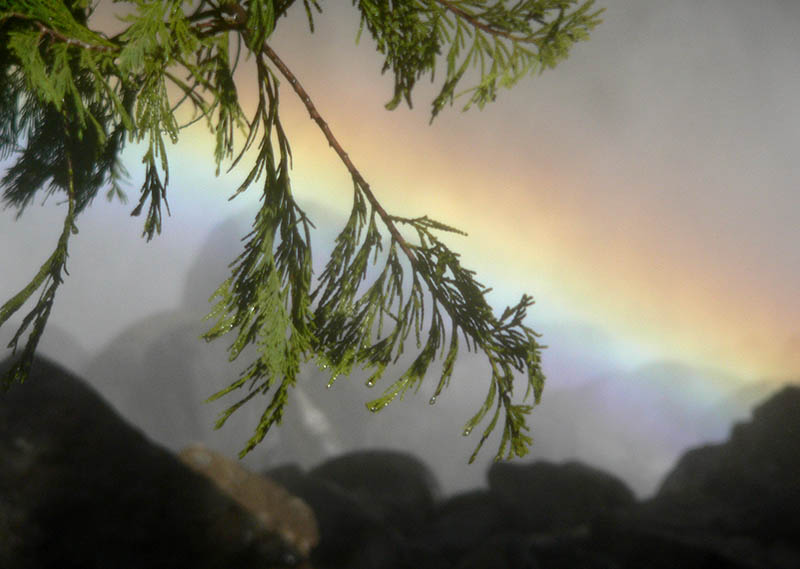 Drops and Rainbow