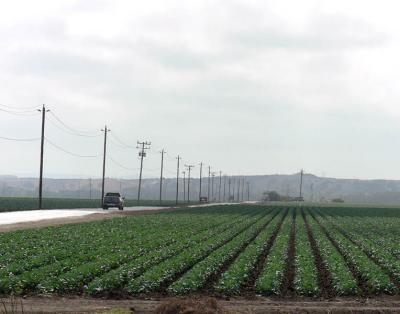 Field and Highway