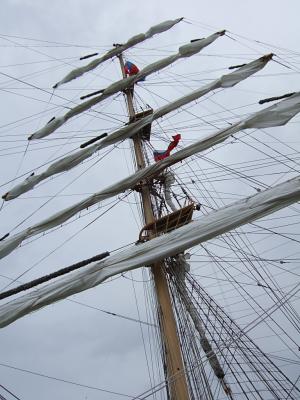 Pallada Sails 1