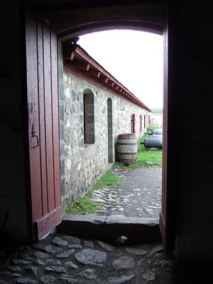 DSCF1372.jpg