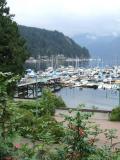 Deep Cove 4