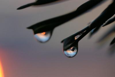 Sunset in drops