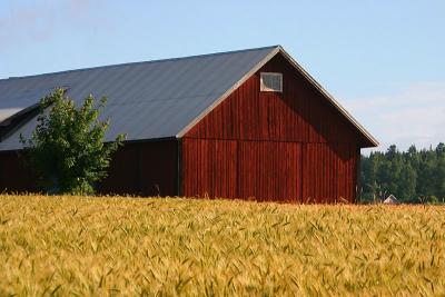 Barn in the field