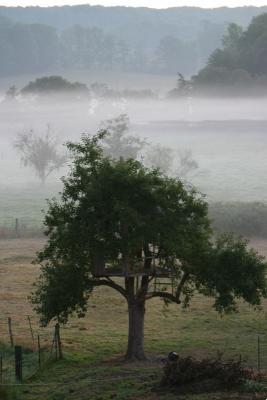 August 12: Morning fog