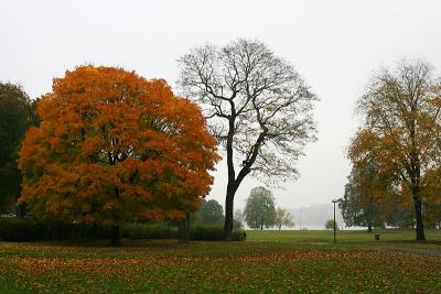 October 31: Autumn in the park