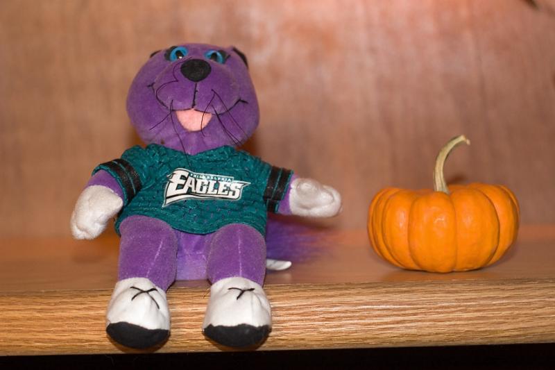 Eagles Halloween.jpg