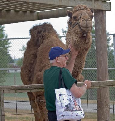 Dad with Camel