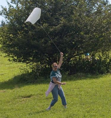 Joann flying a kite