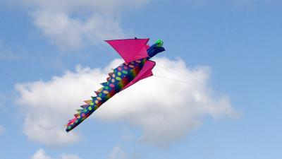 Kite flight