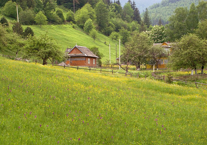 Near Yaremche