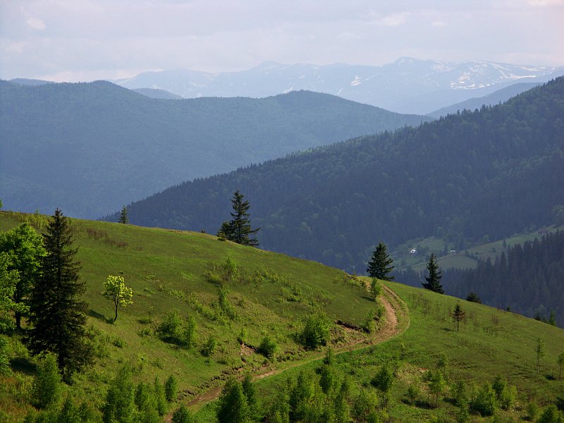 Carpathians, near Yaremche