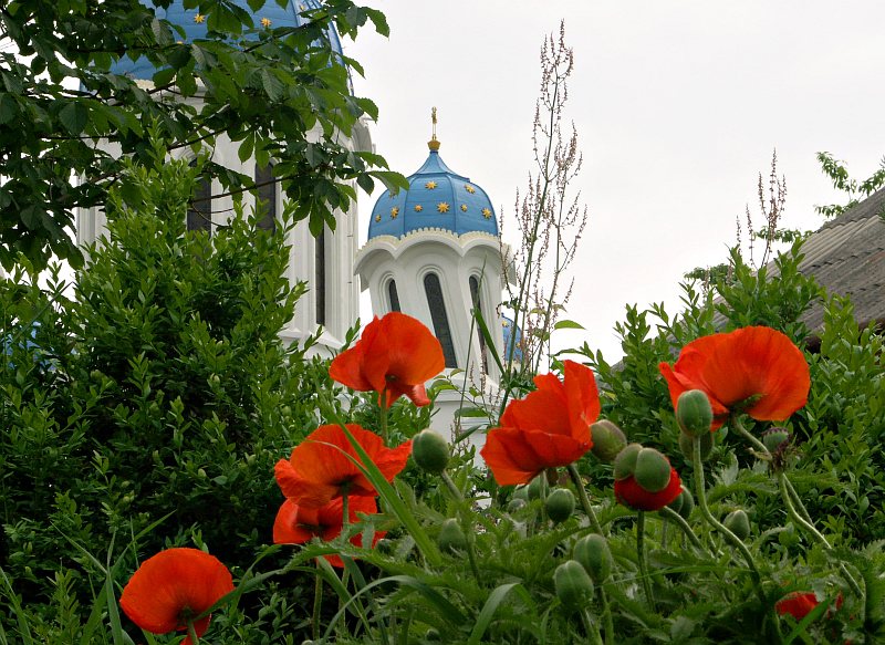 Chernivtsi