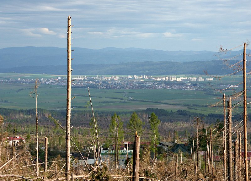Storm damage, looking towards Poprad