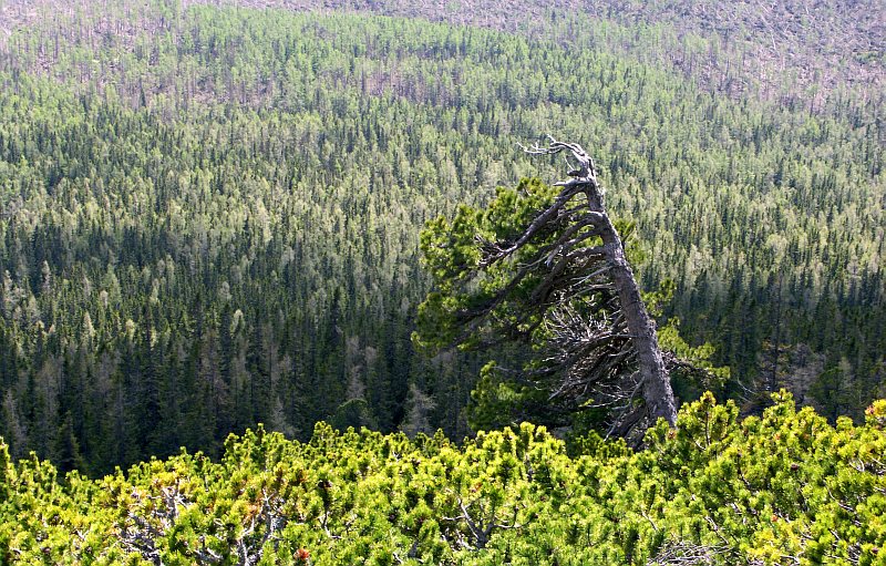 On the Tatransk Magistrla trail