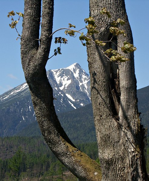 Near Tatransk Lomnica