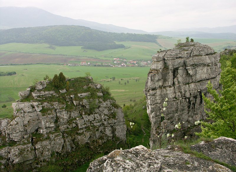 Drevenik