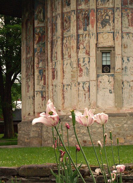 Humor Monastery