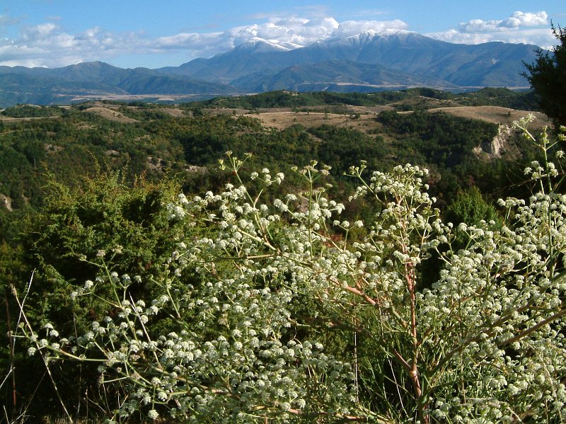Near Rozhen Monastery