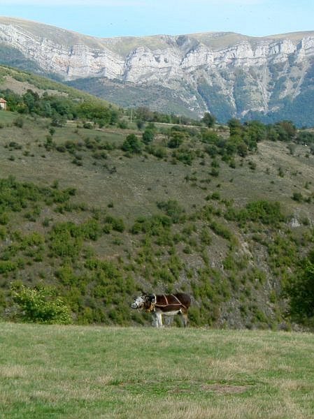 Balkan Mountains