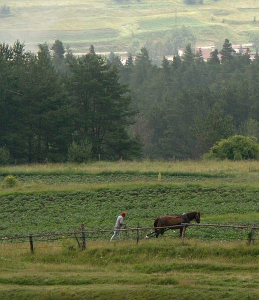 Near Koprivshtitsa