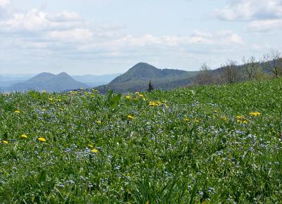 Meadow on Lubnik Mountain, near Škofja Loka