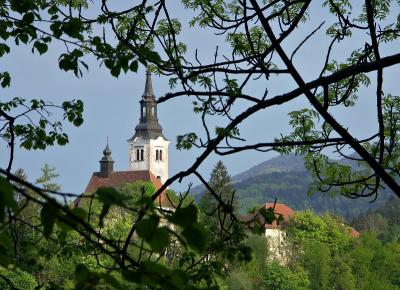 Bled Island