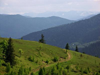 Carpathians, near Yaremche