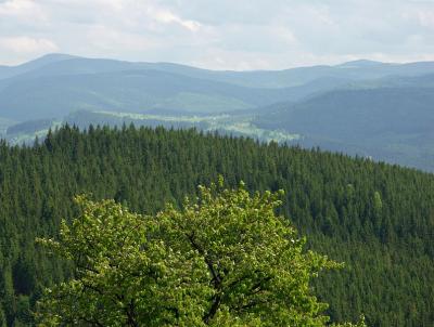 Carpathians