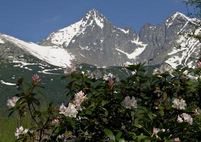 Lomnick tt, from Tatransk Lomnica