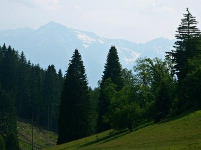 Bucegi Mountains, from Poiana Brasov