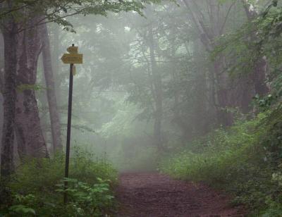 On Mount Vitosha