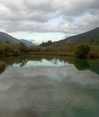 Source of the Sava, Zelenci