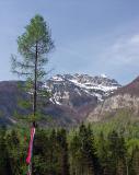 Bohinj Valley