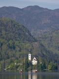 Gondolas on Lake Bled