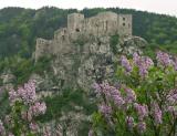 Strečno Castle