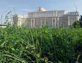 Bucharest - Palace of Parliament