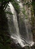 Boyana Waterfall