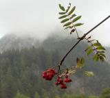 At Jasna Lake