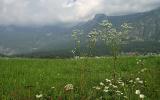 Near Bovec