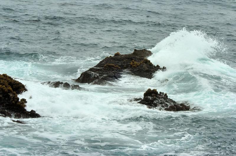DSC_8015 copy.jpg