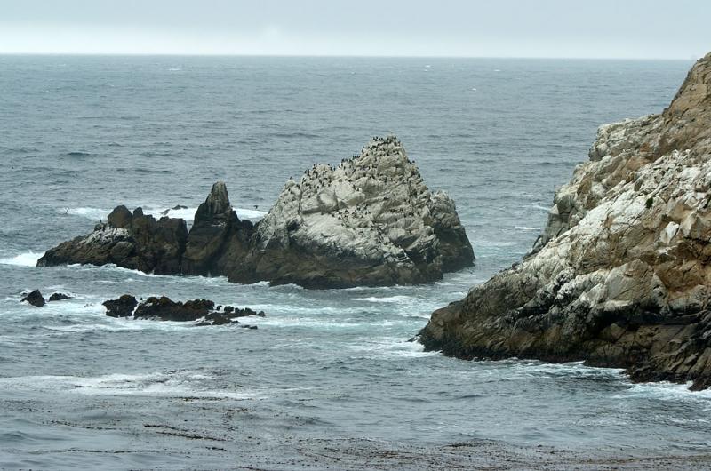 DSC_8025 copy.jpg