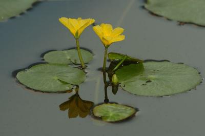 DSC_7471 copy.jpg