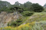 DSC_7988 copy.jpg